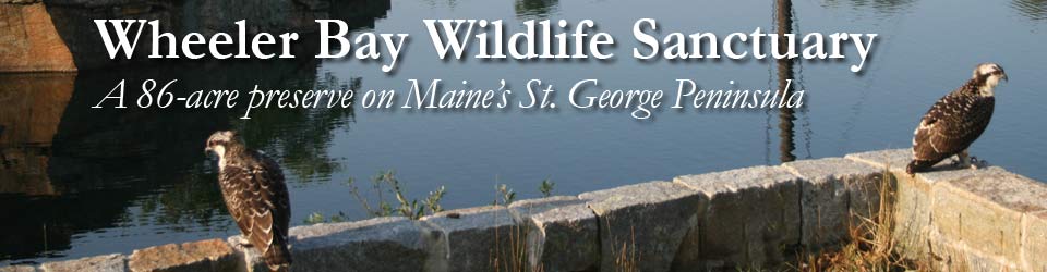 Wheeler Bay Wildlife Sanctuary